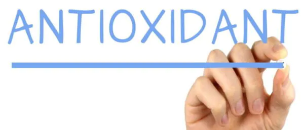 anti oksidan