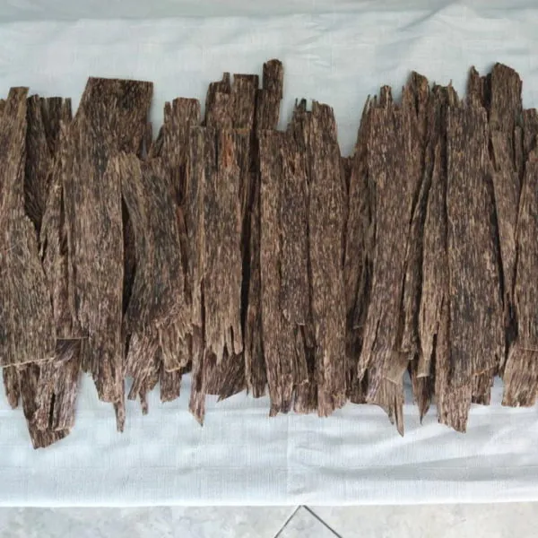 kayu gaharu kalimantan