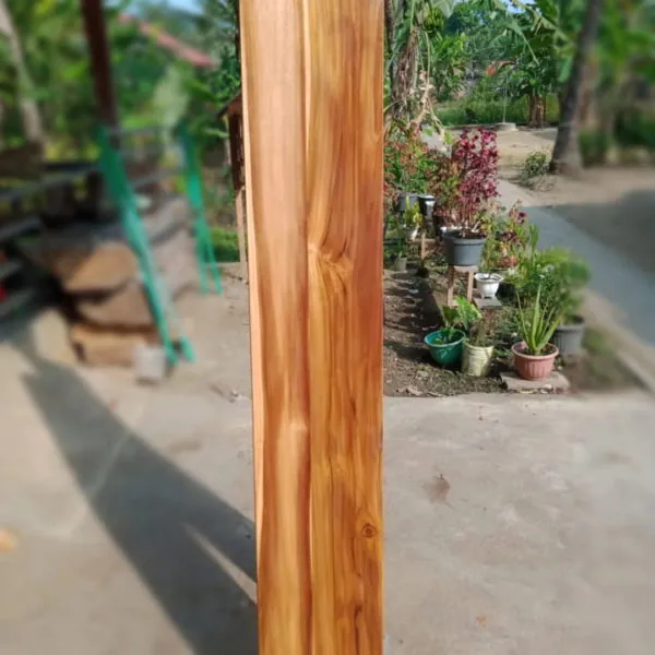 kayu mahoni perbatang