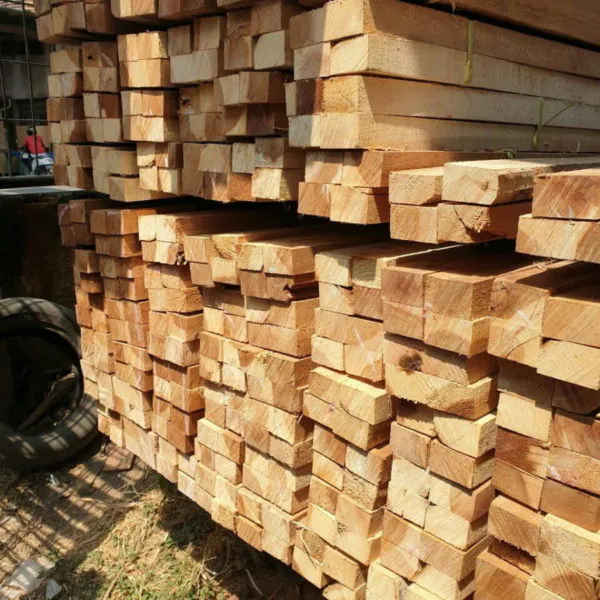 kayu meranti