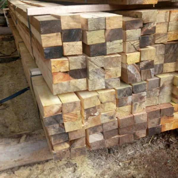 kayu meranti surabaya