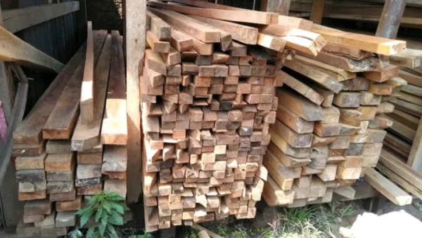 kayu reng