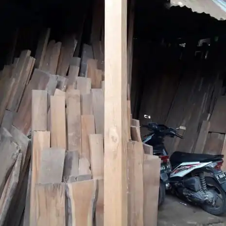 kayu jati perbatang