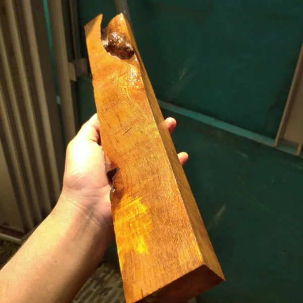 kayu sengon
