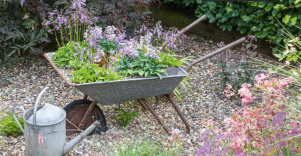 banner taman depan rumah minimalis lahan sempit