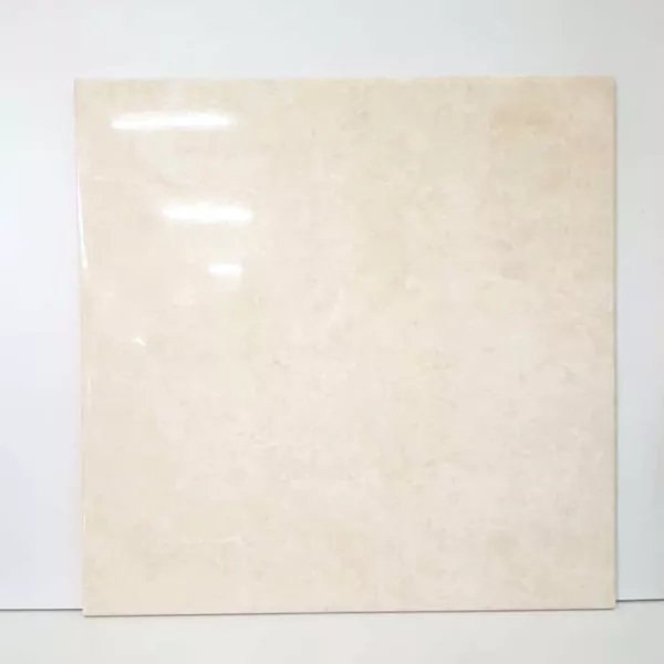 keramik lantai roman 40x40