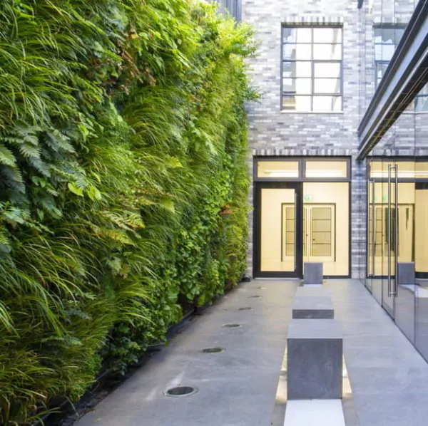 banner taman belakang rumah