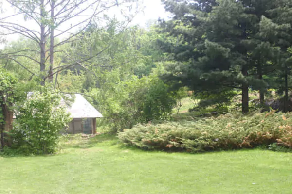 banner taman belakang rumah luas