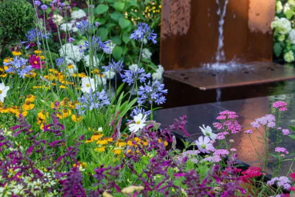 taman belakang rumah dengan tanaman hias