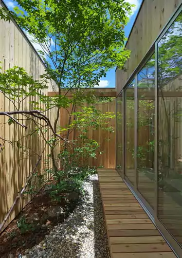taman di samping rumah minimalis
