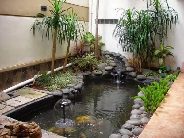 taman rumah minimalis type 36 dengan kolam