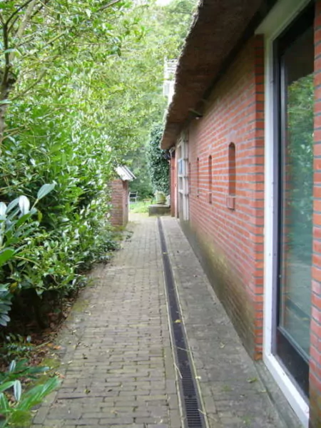 lantai coneblcok taman samping rumah