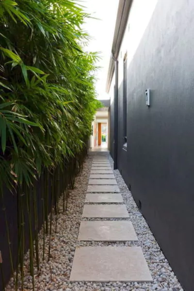 taman samping rumah 1 meter tanaman bambu