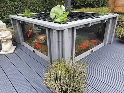 warna cat rumah abu abu - kolam ikan