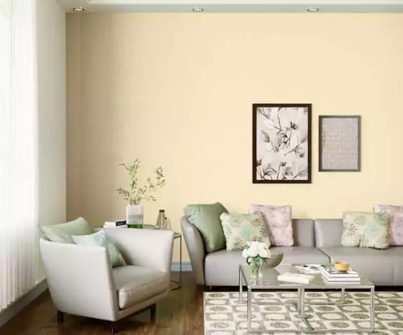 warna cat rumah cream susu