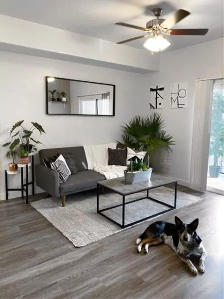 warna cat rumah bagian dalam yang cerah - light grey