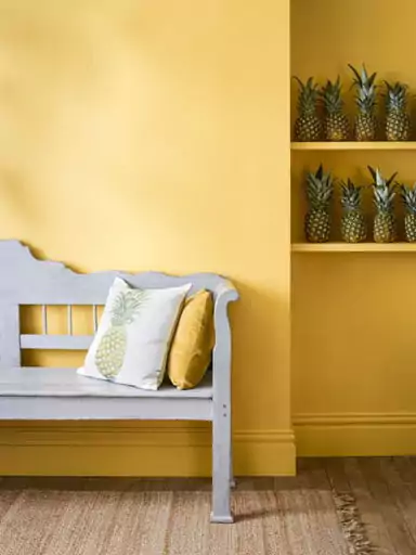 warna cat rumah bagian dalam yang cerah - primrose