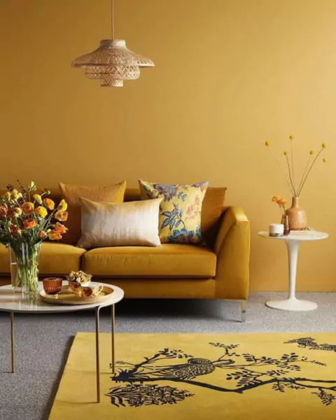 warna cat rumah minimalis - mustard