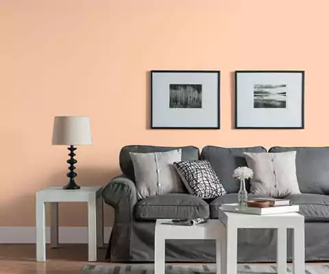warna cat tembok yang bagus - peach