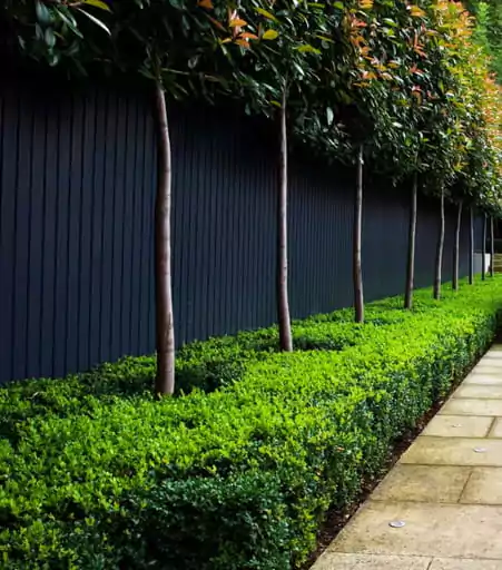 warna cat pagar besi rumah yang bagus - hitam