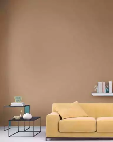 warna cat rumah elegan cokelat